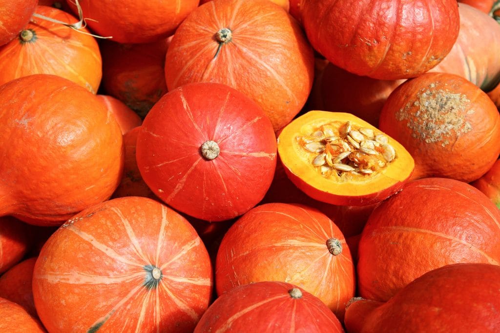 Eine Ansammlung von Kürbissen